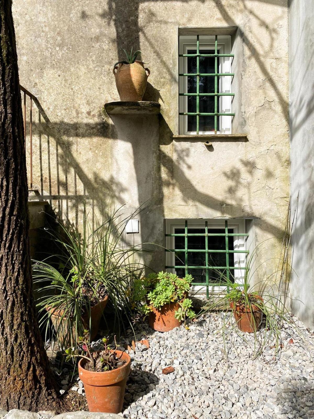 Residenza Nemus Olea Mare E Montagna Graveglia מראה חיצוני תמונה